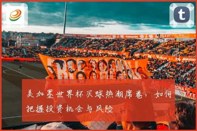 美加墨世界杯买球热潮席卷，如何把握投资机会与风险