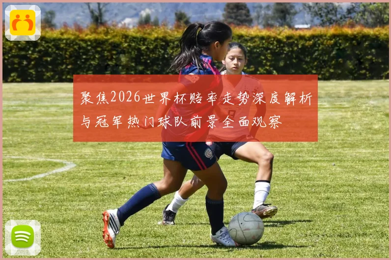 聚焦2026世界杯赔率走势深度解析与冠军热门球队前景全面观察